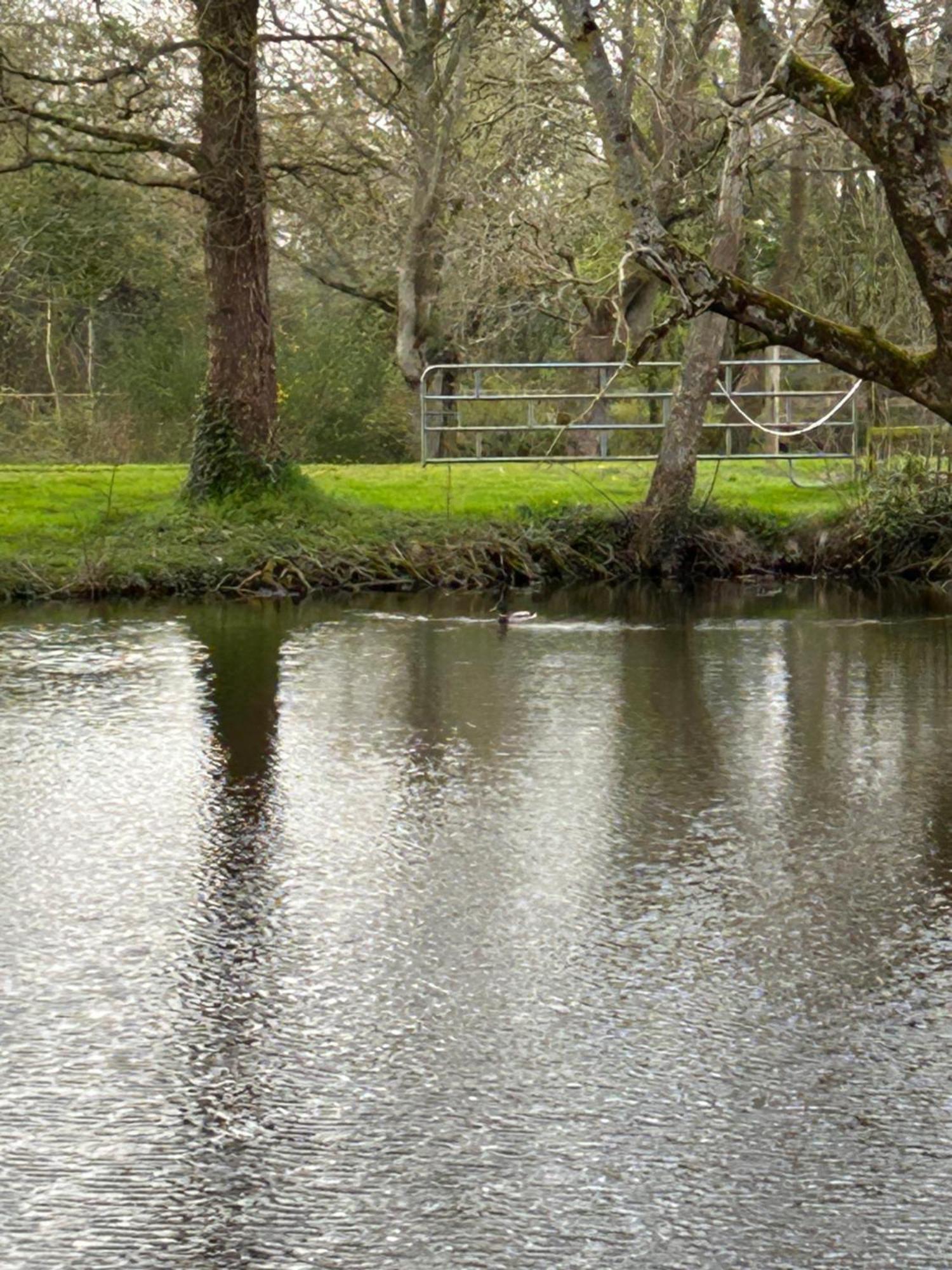 La Maison De L'Etang Manerbe Dış mekan fotoğraf