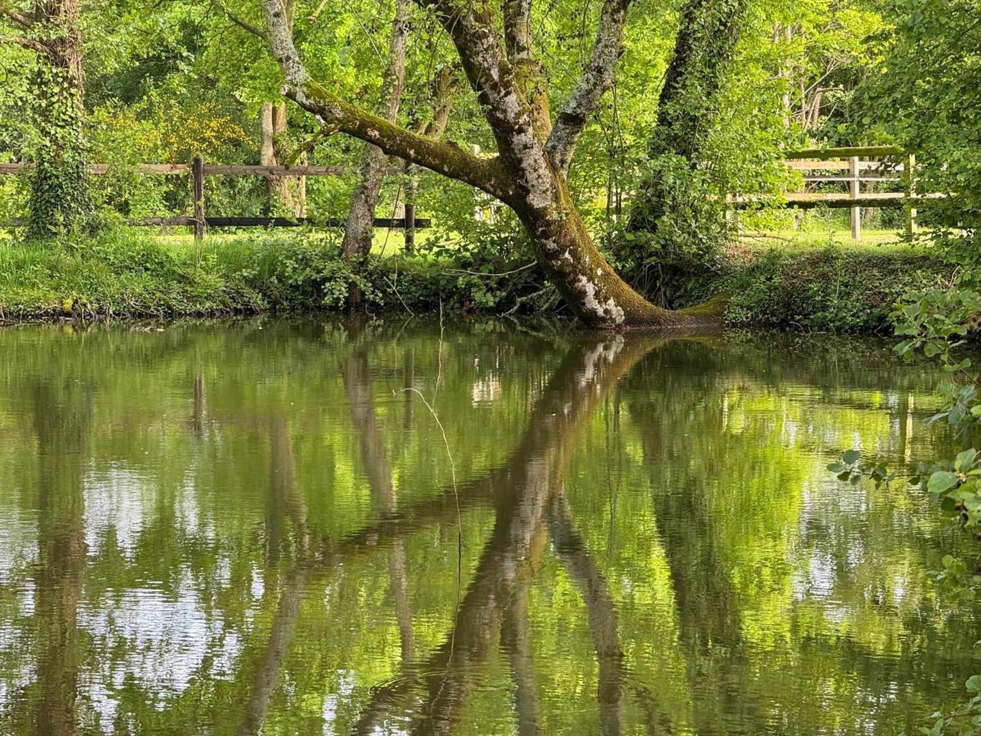 La Maison De L'Etang Manerbe Dış mekan fotoğraf