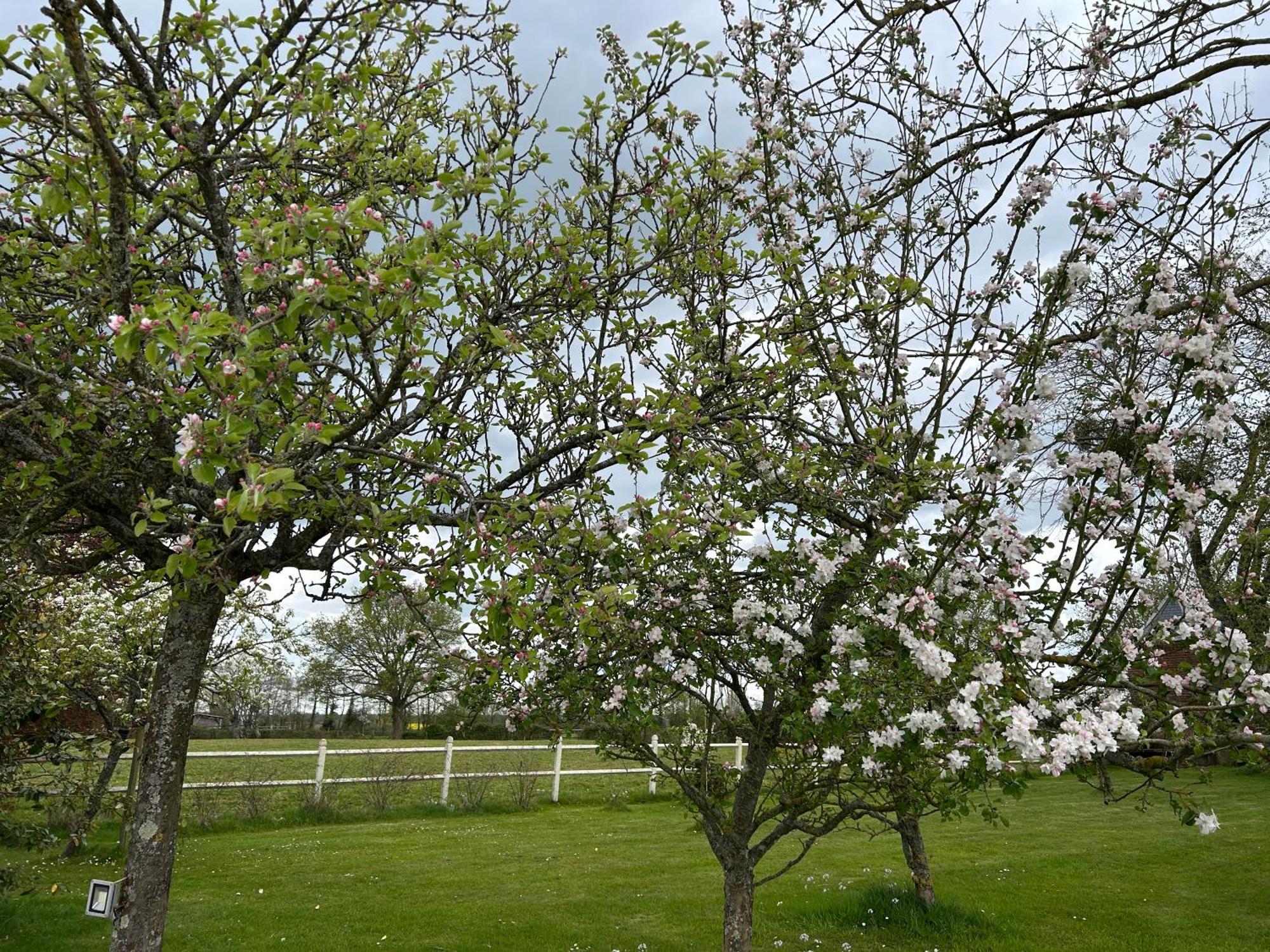 La Maison De L'Etang Manerbe Dış mekan fotoğraf